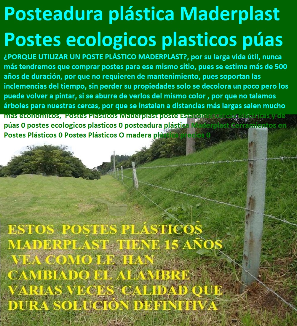 Postes Plásticos Maderplast poste Estacones Cercas eléctricas y de púas 0 postes ecologicos plasticos 0 posteadura plástica Maderplast Cerramientos en Postes Plásticos 0 Postes Plásticos O madera plástica precios 0 Postes Plásticos Maderplast poste Estacones Cercas eléctricas y de púas 0 postes ecologicos plasticos 0 posteadura plástica Maderplast Cerramientos en Postes Plásticos 0 Postes Plásticos O madera plástica precios 0 Postes Plásticos Maderplast poste Estacones Cercas eléctricas y de púas 0 postes ecologicos plasticos 0 posteadura plástica Maderplast Cerramientos en Postes Plásticos 0 Postes Plásticos O madera plástica precios 0